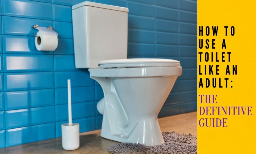 How to Use a Toilet Like an Adult